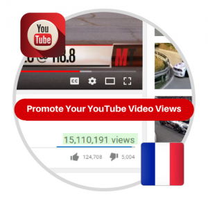 Youtube Views From France